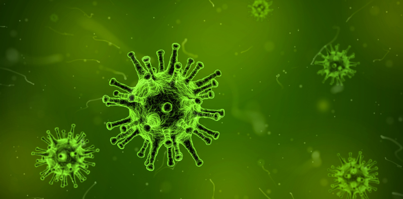 Bactéries et inflammation au microscope